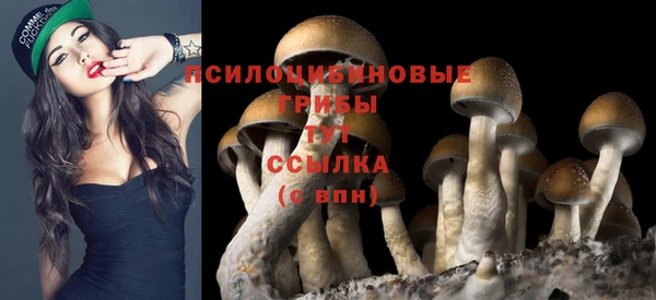 прущие крисы Козловка