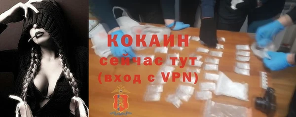 прущие крисы Козловка