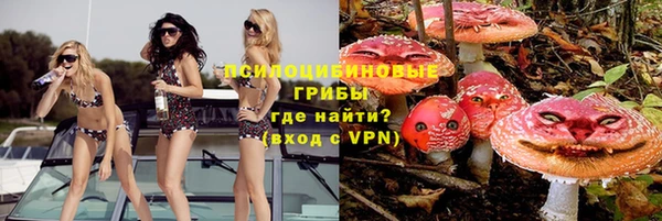прущие крисы Козловка