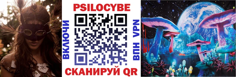 ссылка на мегу ССЫЛКА Княгинино Псилоцибиновые грибы Psilocybine cubensis